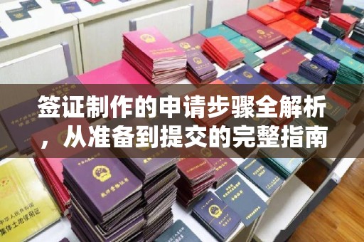 衡东签证制作的申请步骤全解析，从准备到提交的完整指南