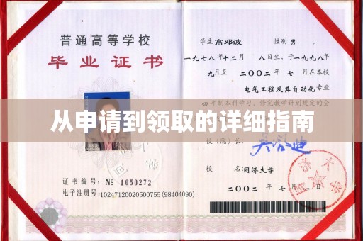 衡东从申请到领取的详细指南