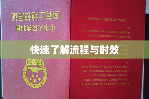 衡东快速了解流程与时效