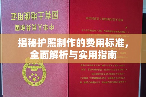 衡东揭秘护照制作的费用标准，全面解析与实用指南