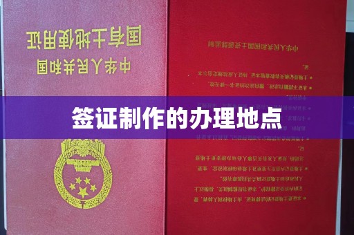衡东签证制作的办理地点