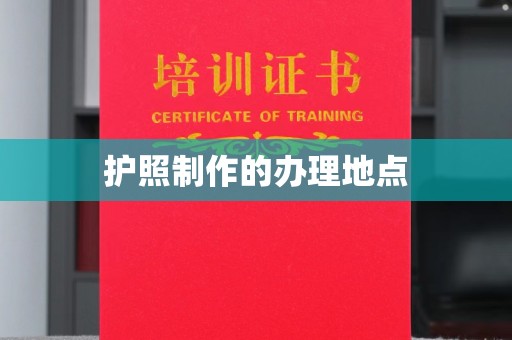 衡东护照制作的办理地点