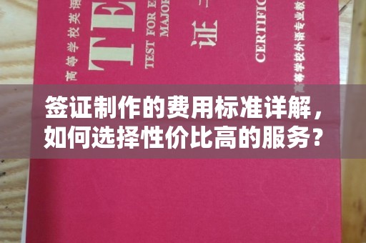 衡东签证制作的费用标准详解，如何选择性价比高的服务？