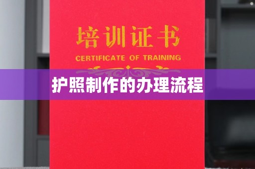 衡东护照制作的办理流程