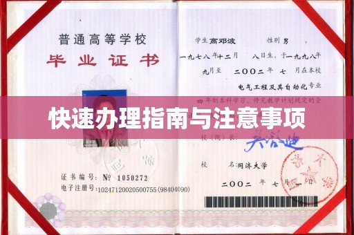 衡东快速办理指南与注意事项